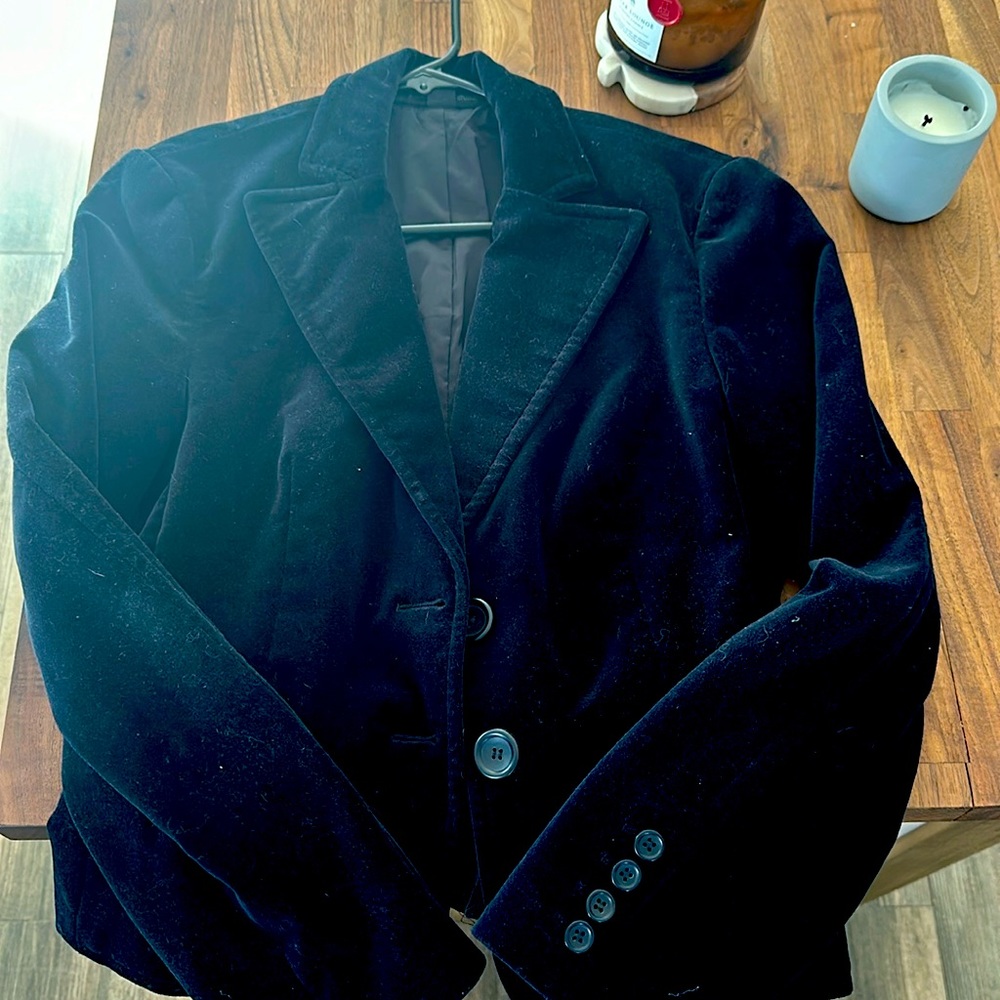 Velvet express blazer